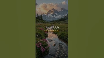 سورة غافر 40:44 #قرآن  #قران_كريم #راحة_نفسية #إنشر_وشاركنا_الأجر #حالات_واتس #عبد_الباسط_عبد_الصمد