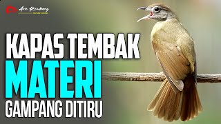 MASTERAN KAPAS TEMBAK GACOR LAGU GAMPANG DI TIRU DAN CEPAT MASUK