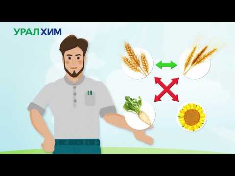 Видео: Основы агрономии (часть 3)