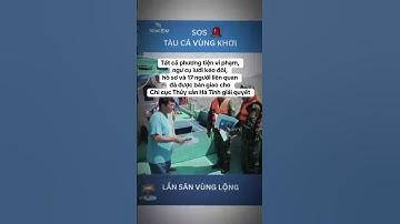 Tàu cá vùng khơi, lấn sân vùng lộng 👀🙏 #seacom #tintuc #trending #tauca  #viral #lienlacvetinh #iuu