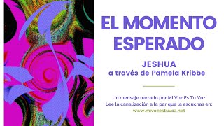 EL MOMENTO ESPERADO | Una canalización de Jeshua a través de Pamela Kribbe