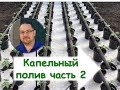 Капельный полив. Как монтировать и ремонтировать капельную ленту?