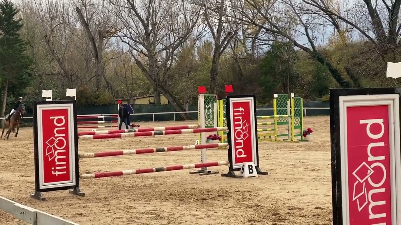 Cavallo in vendita  - Super cavalla per brevetti - Vidéo 4 - equirodi.it