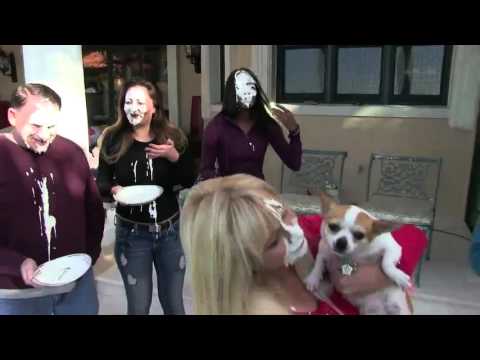 Rhonda Shear #Pied4Pets