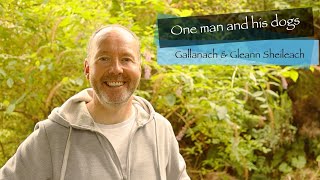 Gallanach & Gleann Sheileach, Oban: Travel Guide