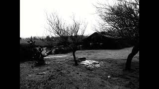 Lagar Chile - La Luz De Anchimalgén - 2023