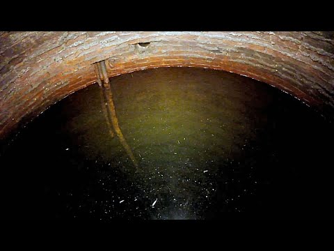 Video: Hvor er cisterner til stede?