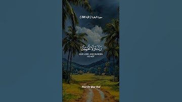 لا يكلف الله نفساً إلاّ وسعها  ..  تلاوة خاشعة اسمع وشارك أجر لي ولك