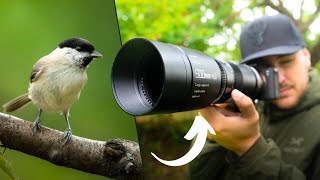 The CHEAPEST 500mm Lens for WILDLIFE  How Good Can it be?