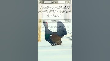 #سورة_الفلق #اكسبلور #القزابري #تيك_توك #الرحمن #duet #دويتو #المصحف #راحة_نفسية #لايك #حالات_واتس