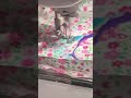 Gain 100 Subs FAST: Embroidery Timelapse Hack! 🧵🚀 #edit #viral #crafttok #reels #trending