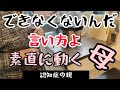 【親の扱い方】 言い方ひとつで認知症の母も色々できるんだ。生焼け魚〜美味しい魚へ🐟