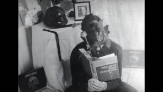 Death In June - Fall Apart [Tradução PT]