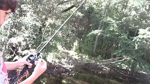 Fishing by Will Hartzog.wmv