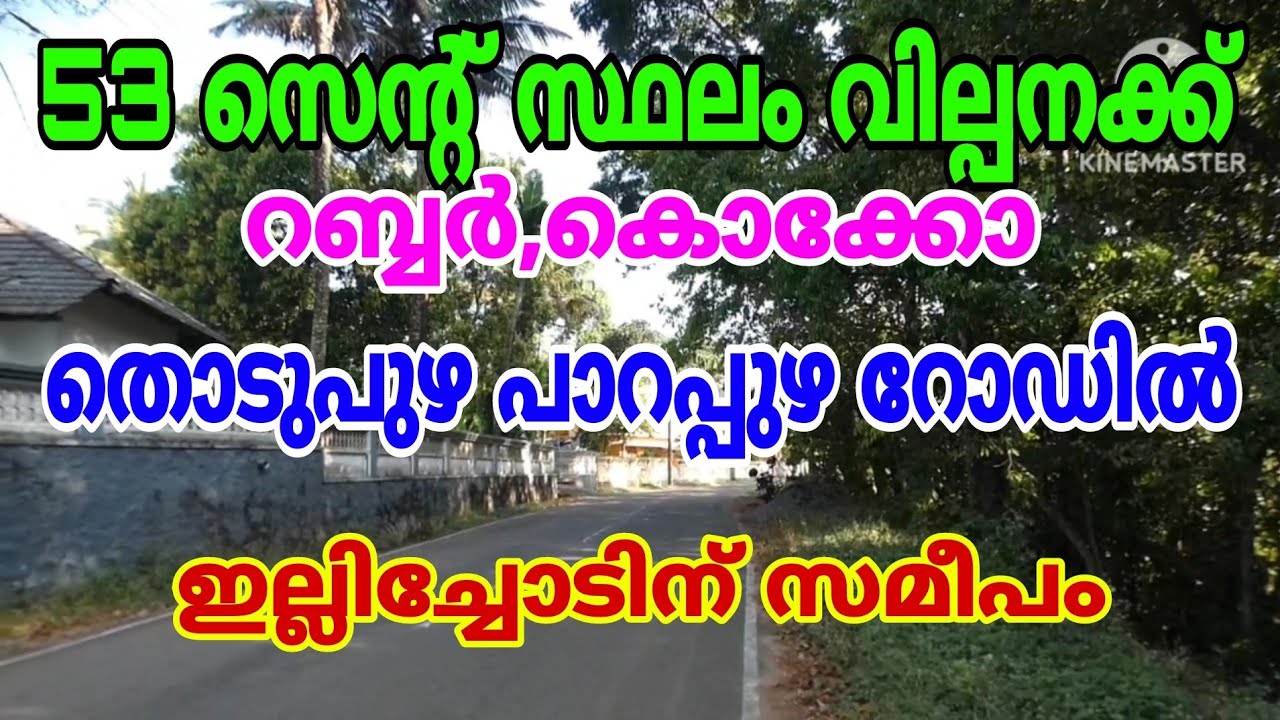 53 Cents Of Land Rubber For Sale Thodupuzha Parappuzha Road Frontage 53-cents-of-land-rubber-for-sale-thodupuzha-parappuzha-road-frontage