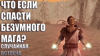 Что Будет Если Спасти Безумного Мага На Солстейме? Skyrim