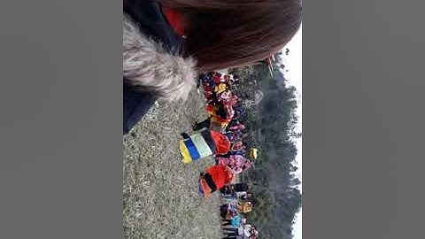 Hội kỳ lân trên lạng sơn nhé.