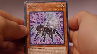Yu-Gi-Oh! Structure Deck: Cyberse Link First Look