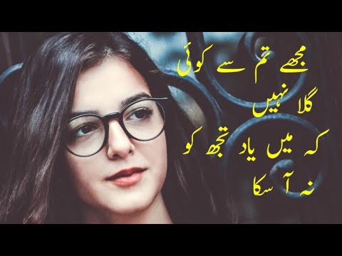 Mujhe tum se koi gila Nahi k mein yaad tuj ko na aa saka  best sad song latest video song|Gulzar