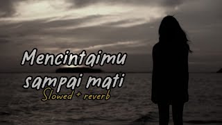 MENCINTAIMU SAMPAI MATI || SLOWED   REVERB || LIRIK 