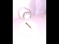 Doors Roblox | Louie swapped my item