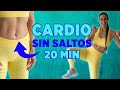 Cardio para bajar abdomen sin saltos rutina de 20 minutos