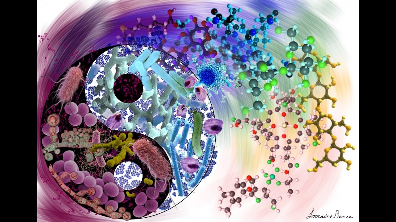 Դիսբակտերիոզ - Հայկ Մանասյան ( ԿԱԹԻԼԱՅԻՆ N 02 )