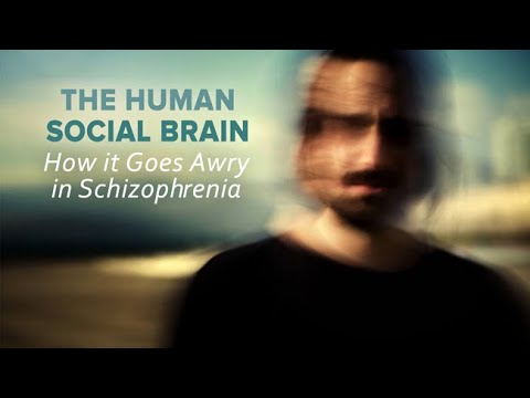 Video: Scientists Consider Schizophrenia To Be The Result Of The Evolution Of The Human Brain - Alternative View