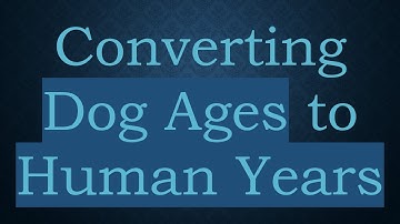 Converting Dog Ages to Human Years