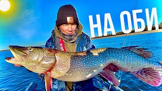 видео: СПИННИНГ С ТЕСТОМ 120 грамм В ДУГУ. ЛОВИМ ЩУК НА КРУПНЫЕ ПРИМАНКИ! картинка: СПИННИНГ С ТЕСТОМ 120 грамм В ДУГУ. ЛОВИМ ЩУК НА КРУПНЫЕ ПРИМАНКИ!