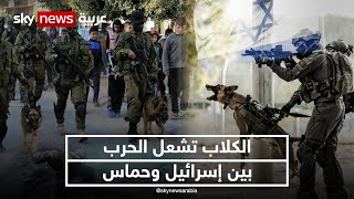 حماس تفك شفرة الكلاب الإسرائيلية | #نيوز_بلس image