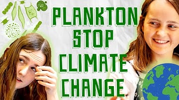 Tiny carbon capturers: phytoplankton could save our planet