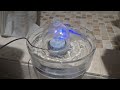 Cleaner, Fresher Water for Pets | Brook Glass Fountain Review