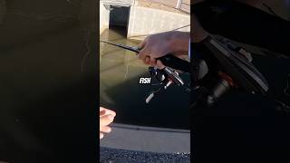 Bobber Fishing w/ a Jig