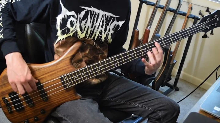 DISTENTION - CYCLICAL GUITAR AND BASS PLAYTHROUGH
