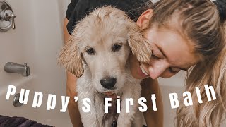 GIVING OUR PUPPY HER FIRST BATH