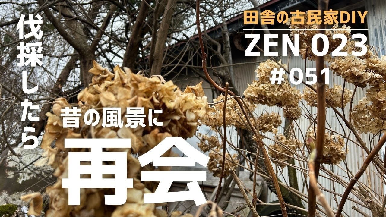 【実家の開発＆DIY】小屋周りを伐採したら、昔の風景が蘇った。