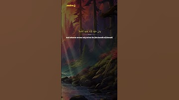 Al-'Ankabut (5-7) | Heart Touching Quran | Nasser Al Qatami | سورة العنكبوت