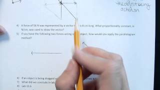 Celebrity Chapter 15 Study Guide Net Worth