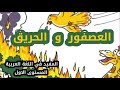 حكاية العصفور و الحريق المفيد في اللغة العربية المستوى الاول