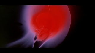 2001: A Space Odessy Travel Through Time Relaxing Images