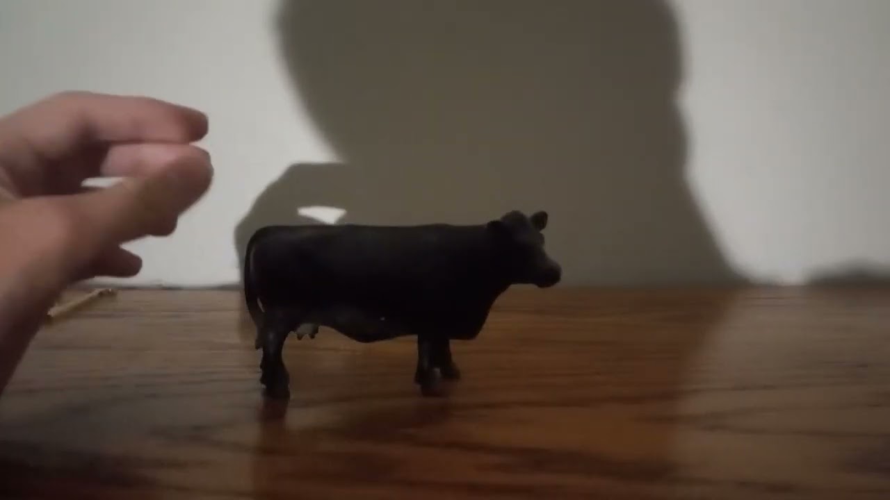 The Black Cat Reviews Schleich Farm World Angus Cow.