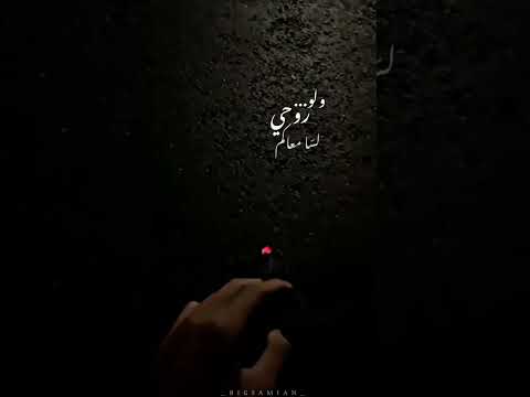 مرسال بيغ سام