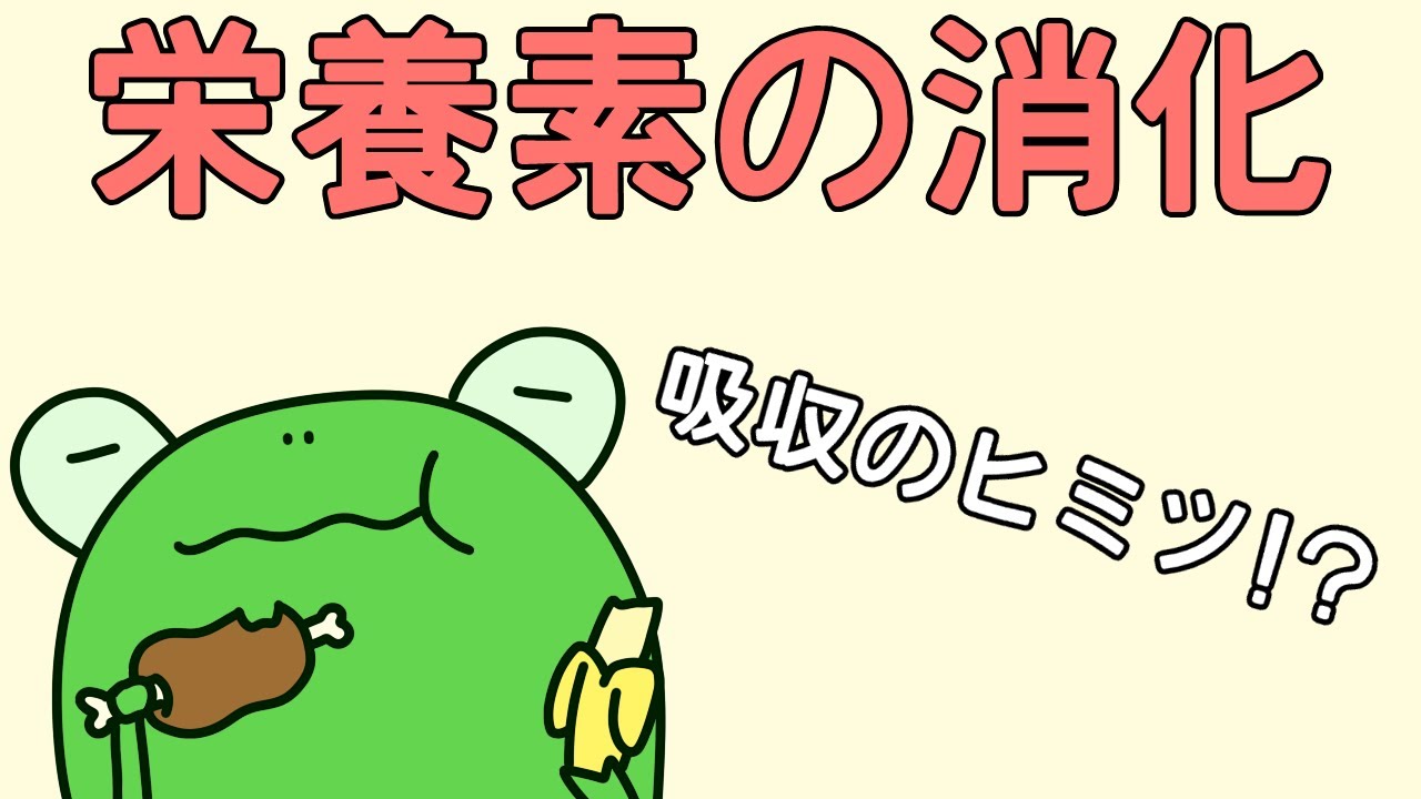 化学的消化の目的は何ですか?