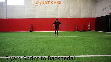 5 Yard Sprint to Backpedal