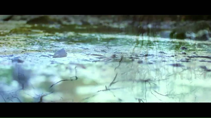 River Project/Patrick Edward Fagan: 'Upriver'