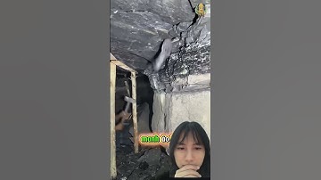 Công việc nguy hiểm nhất thế giới mà có thể bạn chưa biết #shortsviral #cothebanchuabiet