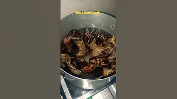 How best do you deshell your snails? I prefer to boil mine for two mins for easy deshelling.