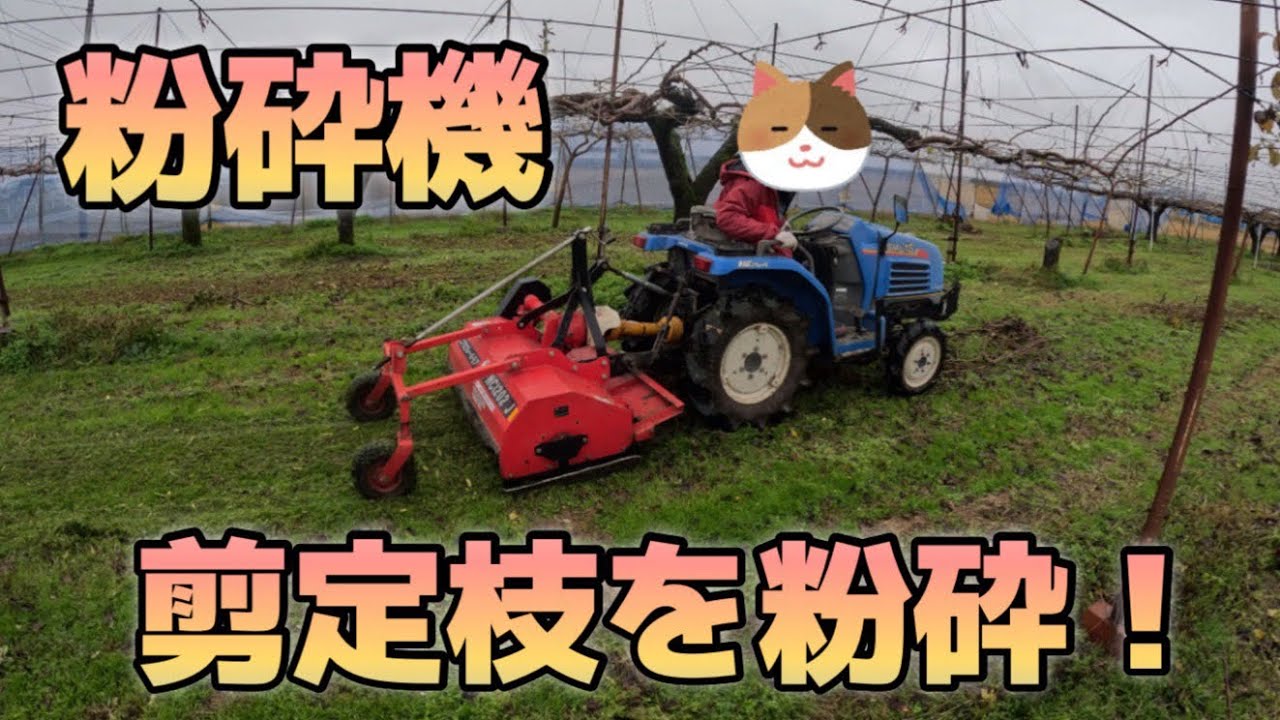 初運転】粉砕機！剪定枝を粉砕！【盈科】 - YouTube