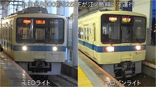 【8000形8258Fが6両編成で運行】小田急8000形8258F 江ノ島線にて運行 ~前照灯がLEDライトとハロゲンライトの2種類~